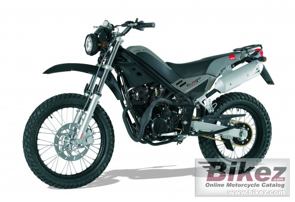 2011 Rieju Tango 250 photo